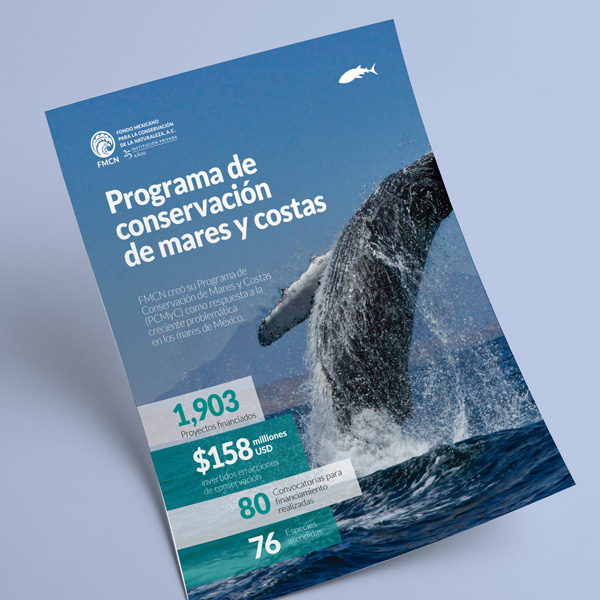 ngo design