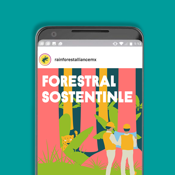 ngo design